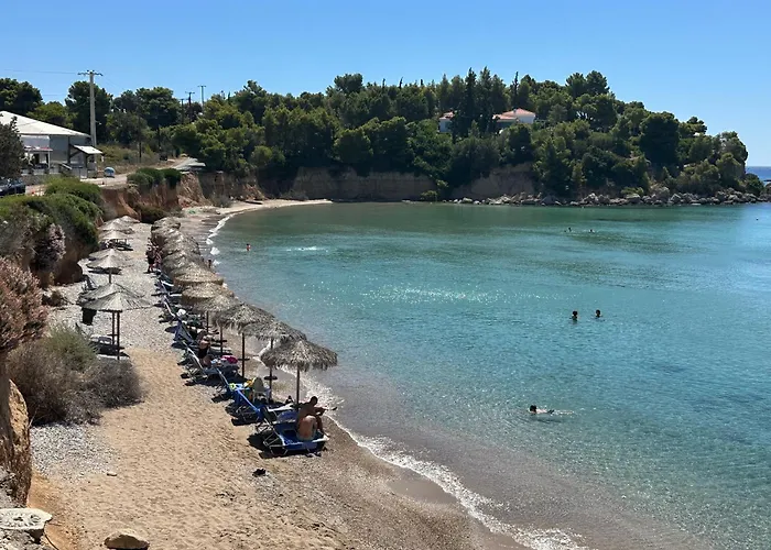 Beautiful Summer House 5' From The *